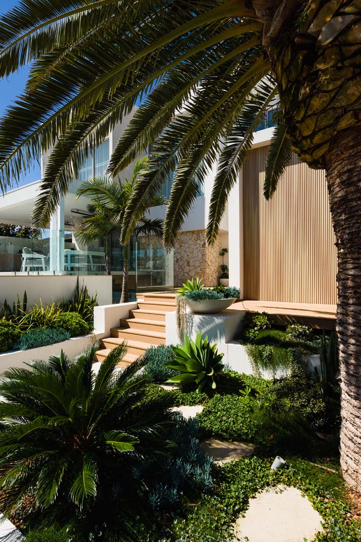 Front garden with palm trees and timber steps to the entry in City Beach